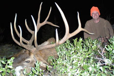 2008 Harvested Elk