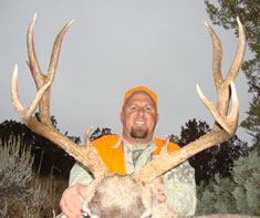 Bushnell 2009 Mule Deer