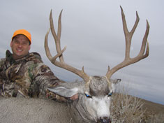 Potts 2009 Mule Deer