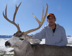 2009 Mule Deer