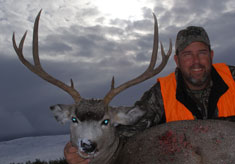 2009 Mule Deer