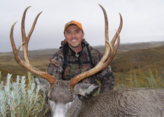 Malone Mule Deer