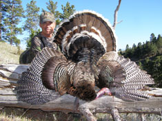 Cunningham Turkey
