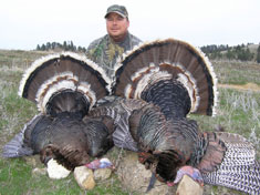 Howell Turkey