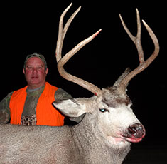Kolo 2012 Mule Deer