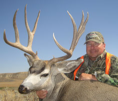 Howell 2012 Mule Deer