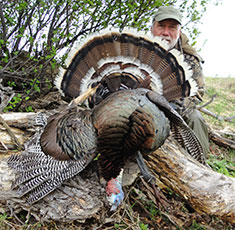 Turkey