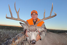 Griffen 2013 Mule Deer