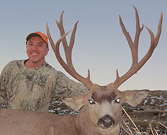 Malone 2013 Mule Deer