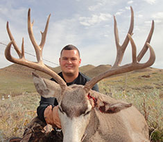 Sewell 2013 Mule Deer