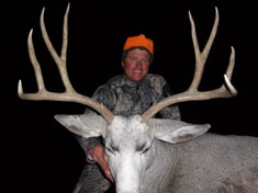 Latta 2014 Mule Deer