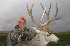 Pikiounis 2016 Mule Deer