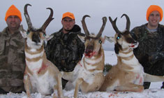 Group Antelope 2009