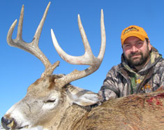 Berrettini 2009 Harvest