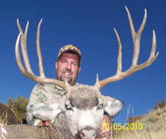 Ward 2010 Mule Deer